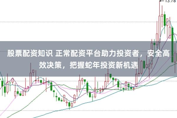 股票配资知识 正常配资平台助力投资者，安全高效决策，把握蛇年投资新机遇