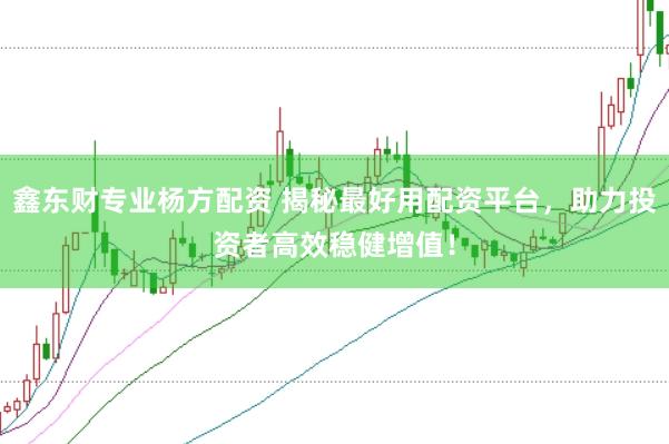 鑫东财专业杨方配资 揭秘最好用配资平台，助力投资者高效稳健增值！