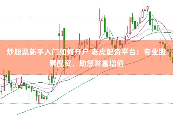 炒股票新手入门如何开户 老虎配资平台：专业股票配资，助您财富增值