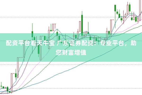配资平台看天牛宝 广东证券配资：专业平台，助您财富增值