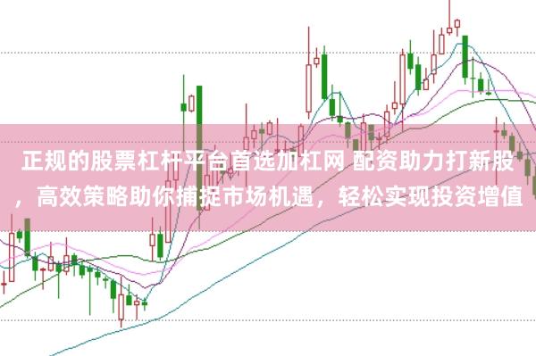 正规的股票杠杆平台首选加杠网 配资助力打新股，高效策略助你捕捉市场机遇，轻松实现投资增值