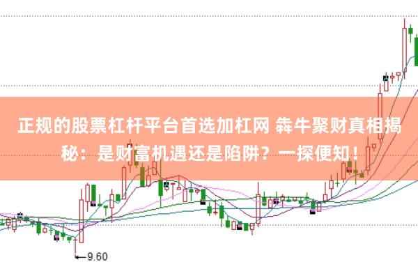 正规的股票杠杆平台首选加杠网 犇牛聚财真相揭秘：是财富机遇还是陷阱？一探便知！