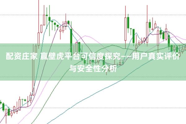 配资庄家 赢壁虎平台可信度探究——用户真实评价与安全性分析