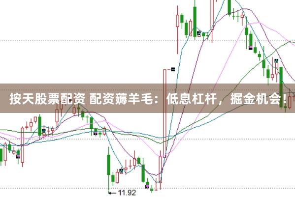 按天股票配资 配资薅羊毛：低息杠杆，掘金机会！