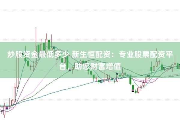 炒股资金最低多少 新生恒配资：专业股票配资平台，助您财富增值