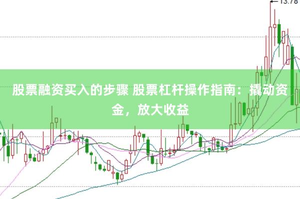 股票融资买入的步骤 股票杠杆操作指南：撬动资金，放大收益